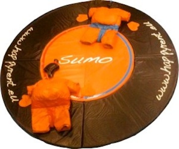 Sumoworstelen: Betreed de ring en versla je tegenstanders met kracht Afbeelding van sumoworstelen: Beleef de sensatie van sumoworstelen in deze attractie